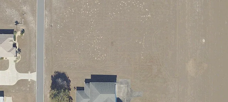 Runway-Frontage Aviation Lot