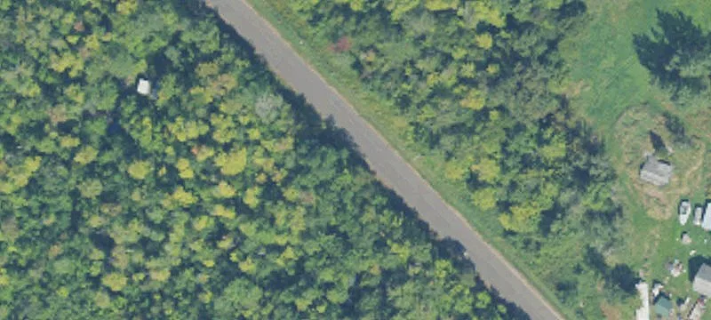 Recreational Forestland with Pond