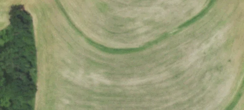 Agricultural Land with Open Ground