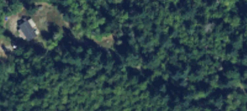 Timbered Residential Land Parcel