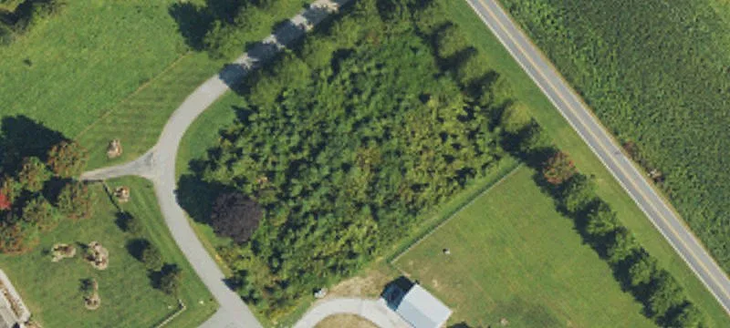 Waterfront Mountain Build Site