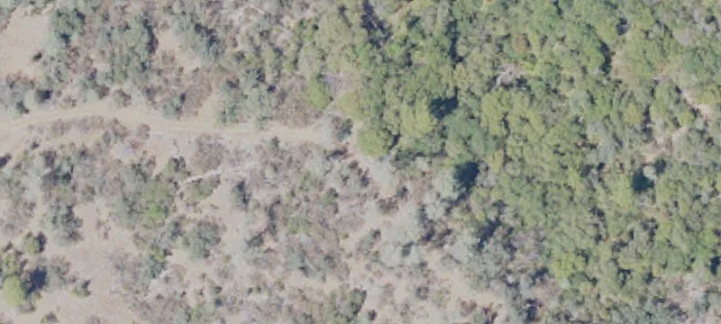 Agricultural Land with Natural Springs
