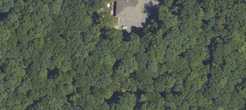 Wooded Building Lot with Driveway