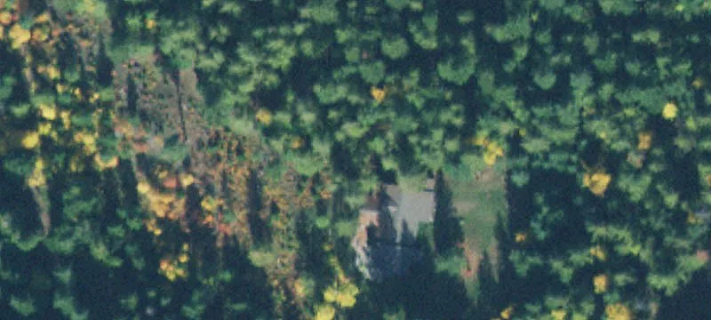 Rural Retreat Land with Tiny Cabin