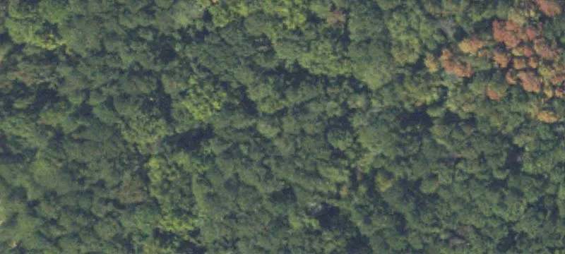 Wooded Residential Acreage Lot