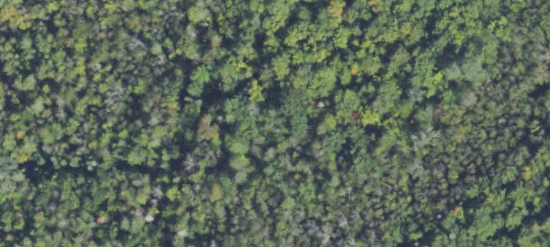 Wooded Double Lot Near Ski Area