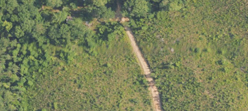 Wooded Lake Community Home Lot