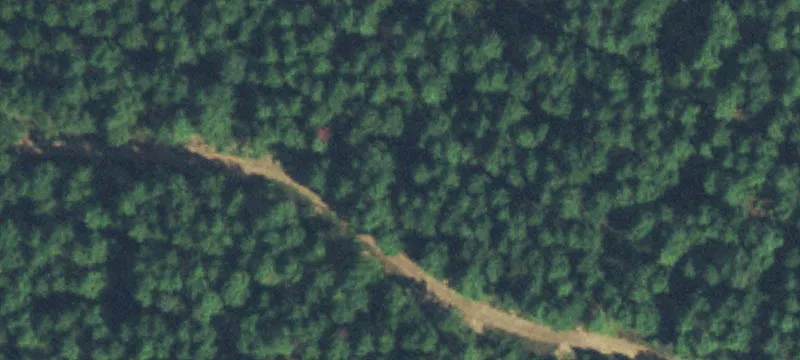 Wooded Recreational Land Tract