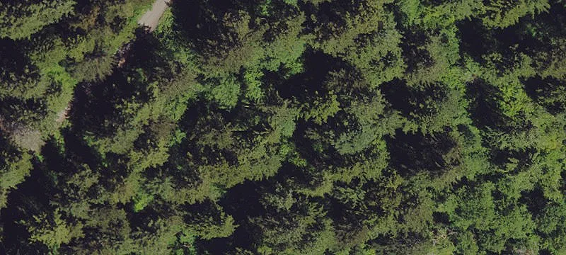 Residential Waterfront Building Lot