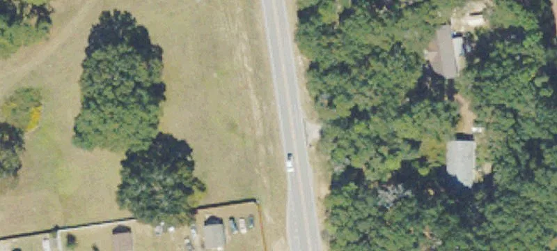 Wooded Hunting and Homesite Land