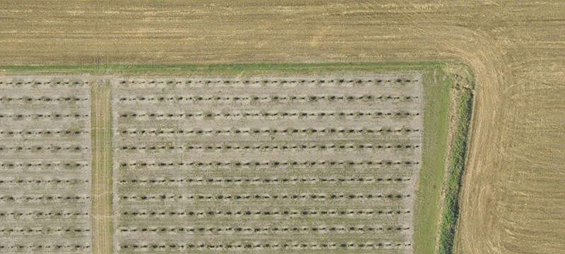 Irrigated Farmland with Pivot System