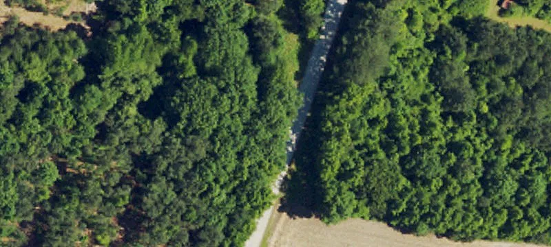 Cleared Land with Septic Potential