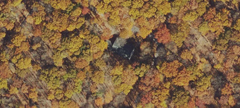 Wooded Resort Building Lot