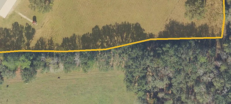 Timber and Pasture Land with Lake