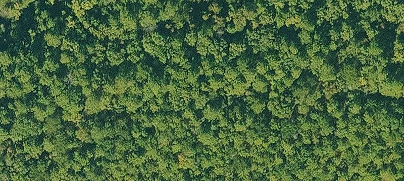 Highway-Front Development Land