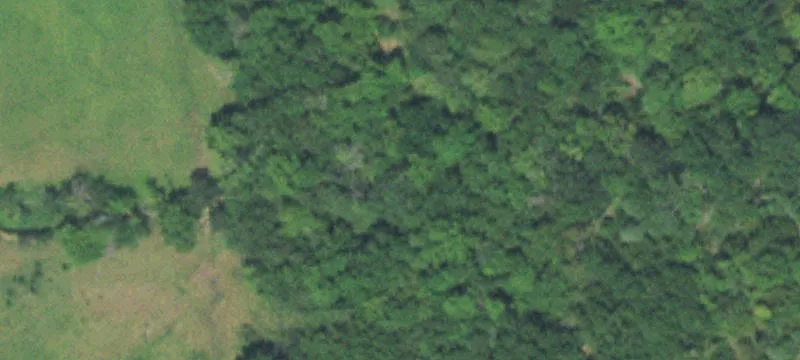 Timber Recreation Tract with Creek