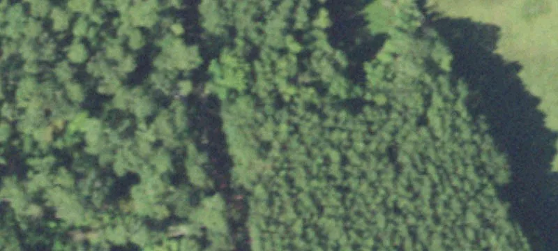 Wooded Land with Cleared Homesite
