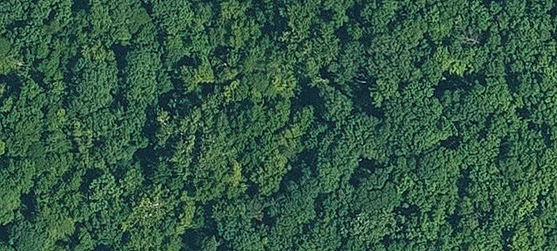 Zoned Rural Residential Hunting Land