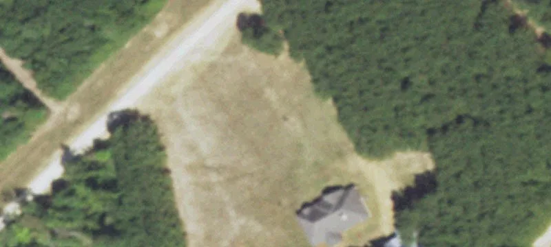 Wooded Hunting Tract with Pond