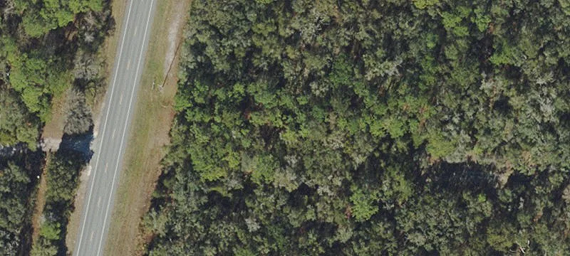 Wooded Residential Land Parcel