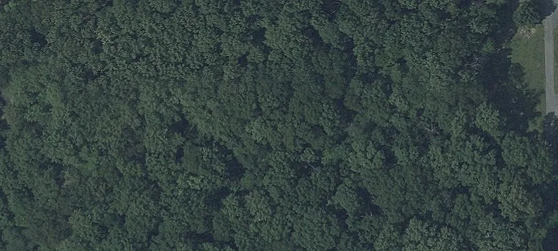 Large Residential Land Parcel