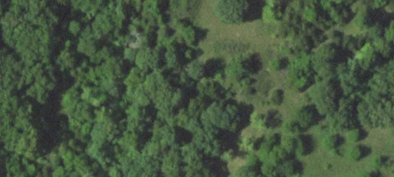 Road-Frontage Hunting Tract