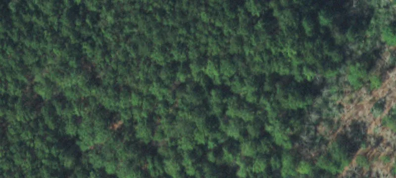 Mountain-Cottage Community Development Land