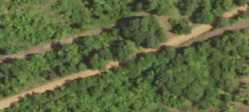 Timber Hunting Land Tracts