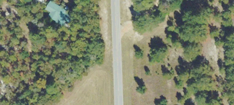 Mature Pecan Orchard Property