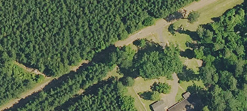 Timber Homesite With Road Frontage