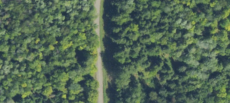 Wooded Recreation Land Parcel