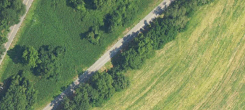 Recreational Hunting Land Tract