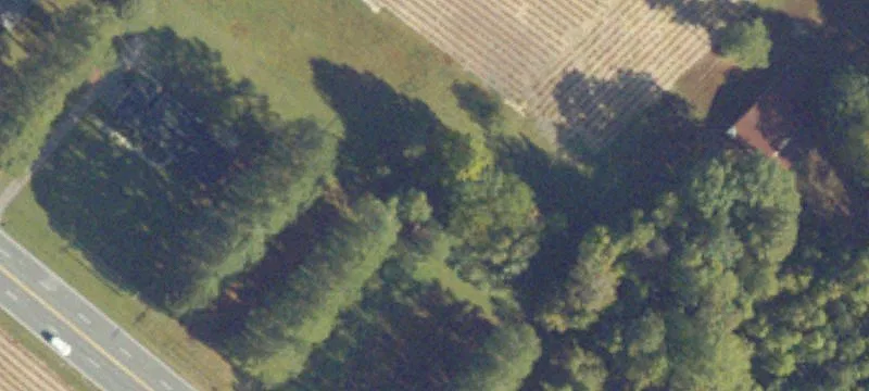 Agricultural Land with Road Frontage