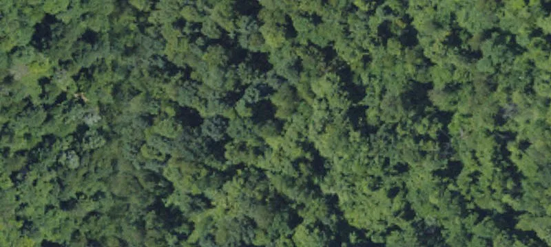 Expansive Residential Development Land