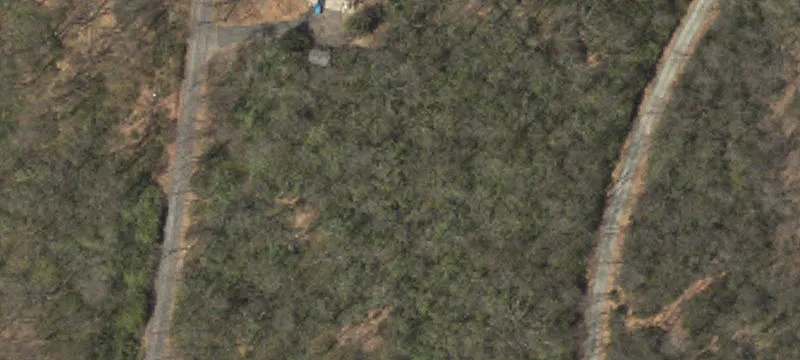 Wooded Residential Lot in Forest Community