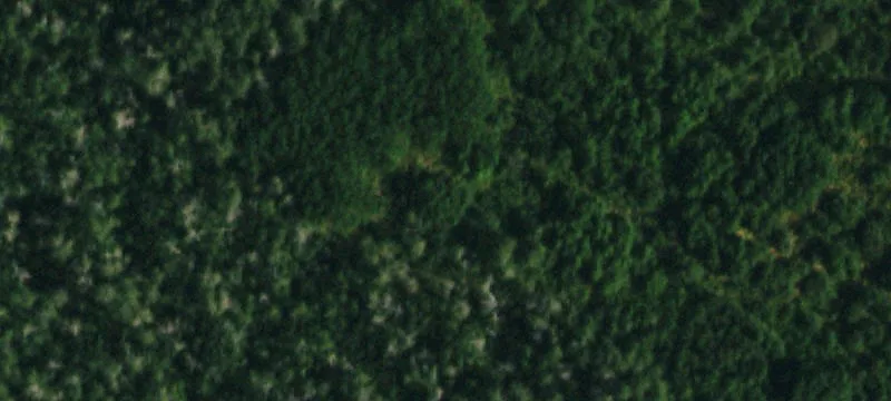 Mountain Acreage with Home