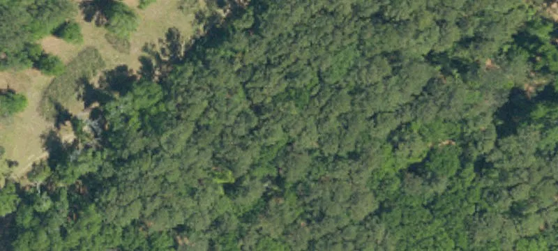 Wooded Estate Home Site