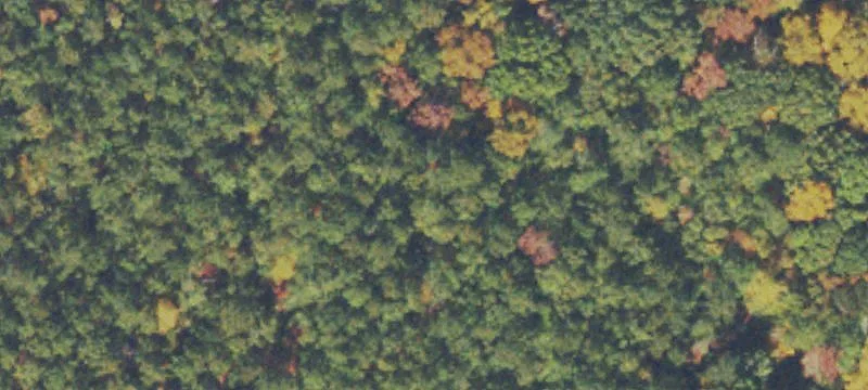 Zoned Residential Acreage Tract