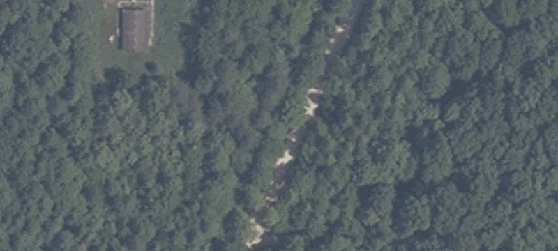 Recreational Hunting Tract with Road Access