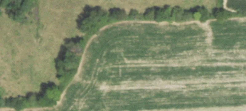 Corner Acreage with Mature Trees