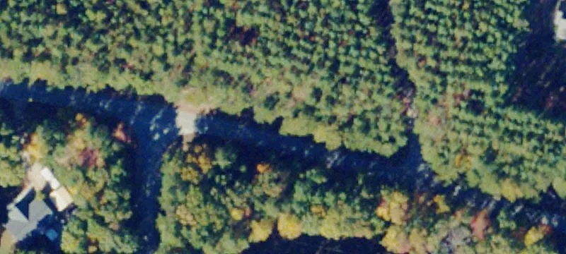Timbered Residential Land Lot