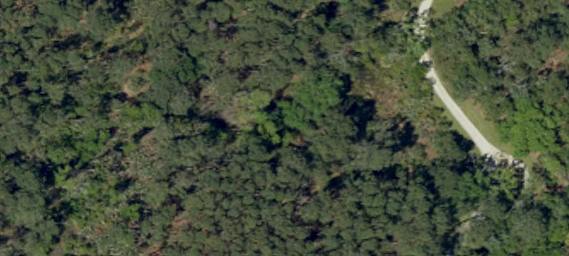 Agricultural Land Parcel
