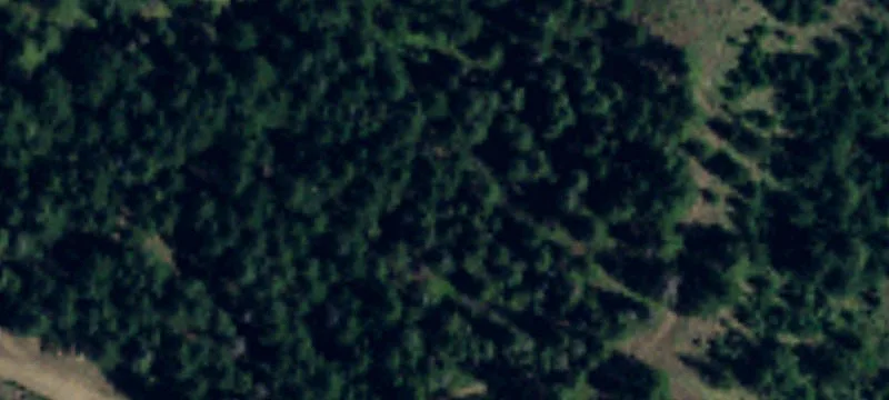 Forested Recreation Land with Mountain Views