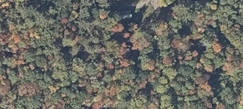 Semi-Cleared Building Lot