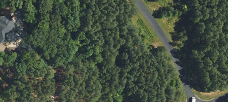 Wooded Corner Lake-Adjacent Home Lot