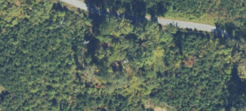 Timbered Farmland Tract with Creek