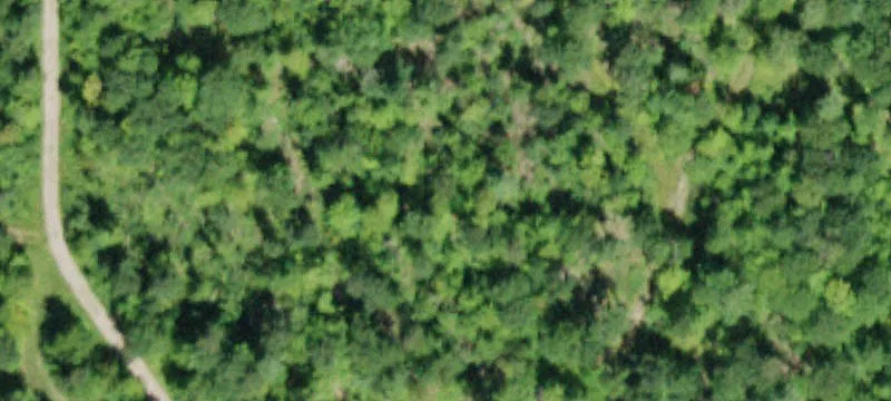 Wooded Hunting Land with Private Pond