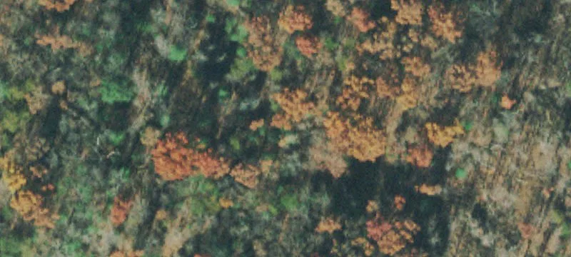 Unrestricted Homestead Land Tract