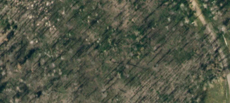 Residential Buildable Acreage Lot