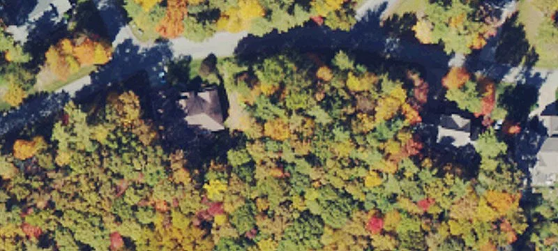Residential Lot in Established Subdivision